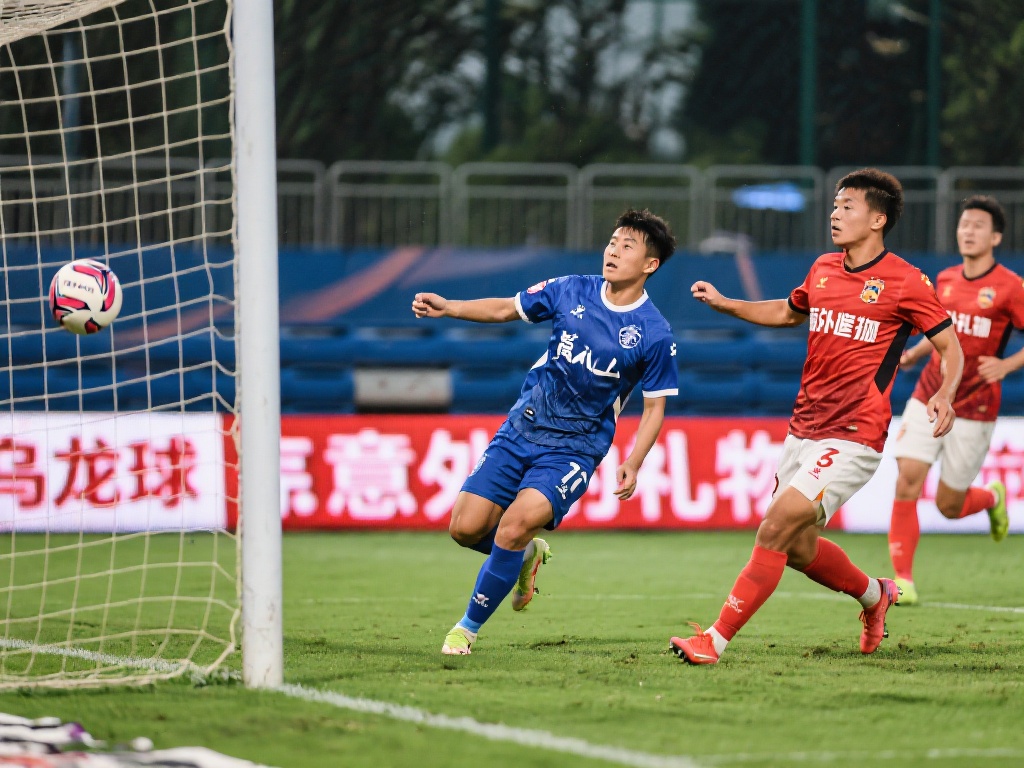 理地制定赛 理地制定赛